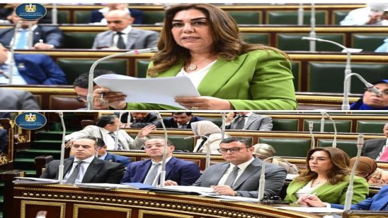 حماية أملاك الدولة أولوية وزيرة التنمية المحلية تشارك في مناقشة قانون التصرف في أملاك الدولة
