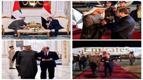 الرئيس السيسى يستقبل الشيخ محمد بن زايد بمطار العلمين