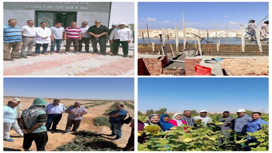 الزراعة” تنشر ملخصا حول الجهود والأنشطة البحثية والإرشادية والخدمية والميدانية لمركز بحوث الصحراء خلال أغسطس