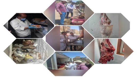 “الزراعة”: ضبط أكثر من 372 طن لحوم ودواجن وأسماك غير صالحة خلال أغسطس وتحرير 928 محضرًا