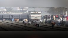 اصطدام قطار برصيف 3 بمحطة مصر قادما من كفر الشيخ