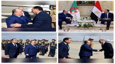 استقبل،  اليوم، الدكتور مصطفى مدبولي، رئيس مجلس الوزراء، الدكتور/ سيفي غريب، الوزير الأول للجمهورية الجزائرية الديمقراطية الشعبية، بمطار القاهرة الدوليّ؛ الذي يزور مصر على رأس وفد رسمي؛ للمشاركة في أعمال اللجنة العليا المصرية الجزائرية