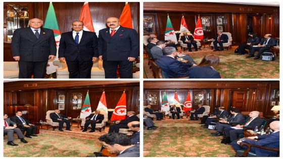 وزير الخارجية يعقد اجتماعاً ثلاثياً حول ليبيا مع نظيريه الجزائري والتونسي