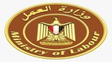 التواجد للتقديم والاختبارات من الأحد المقبل ولمدة 5 أيام بمقر مدينة نصر .. وزارة العمل تُعلن فرص عمل جديدة برواتب مجزية بمشروع الضبعة النووية -المهن المطلوبة نجار وحداد مسلح وفورمجي وفني تركيبات هياكل معدنية ولحام أرجون
