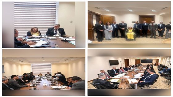 المشرف العام على “القومي للأشخاص ذوي الإعاقة” تُشارك في اجتماع لجنة حقوق الإنسان بمجلس النواب د.إيمان كريم